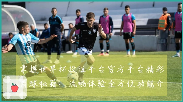 掌握世界杯投注平台官方平台精彩看球秘籍，流畅体验全方位功能介绍