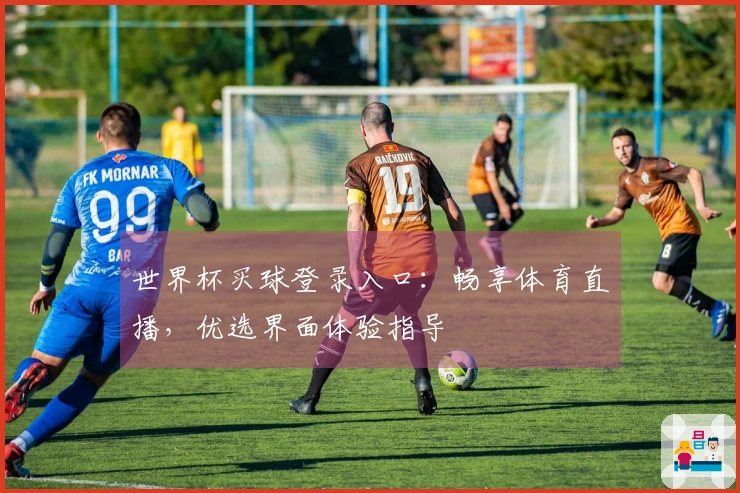 世界杯买球登录入口：畅享体育直播，优选界面体验指导