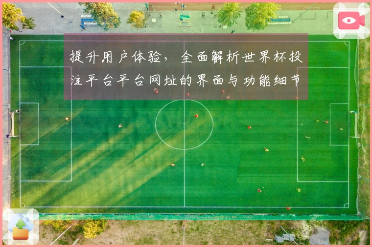 提升用户体验，全面解析世界杯投注平台平台网址的界面与功能细节