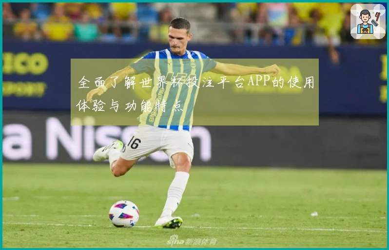 全面了解世界杯投注平台APP的使用体验与功能特点