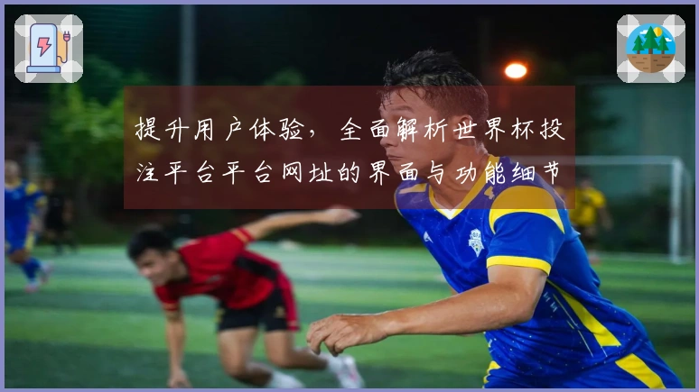 提升用户体验，全面解析世界杯投注平台平台网址的界面与功能细节
