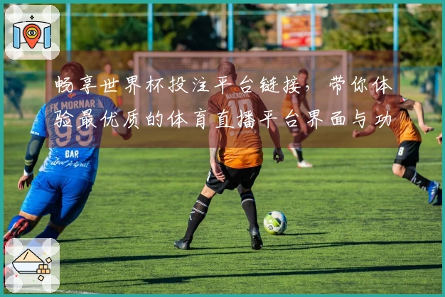 畅享世界杯投注平台链接，带你体验最优质的体育直播平台界面与功能介绍
