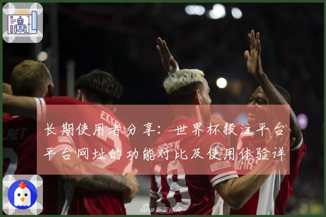 长期使用者分享：世界杯投注平台平台网址的功能对比及使用体验详解