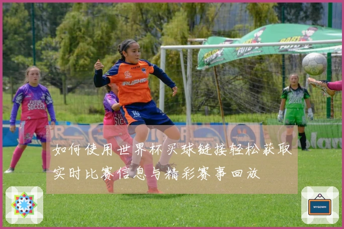 如何使用世界杯买球链接轻松获取实时比赛信息与精彩赛事回放