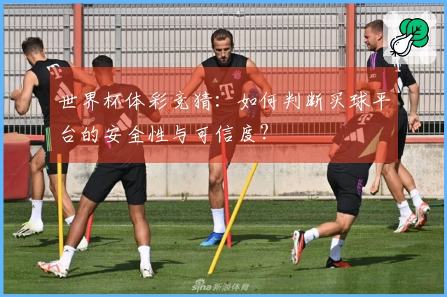 世界杯体彩竞猜：如何判断买球平台的安全性与可信度？